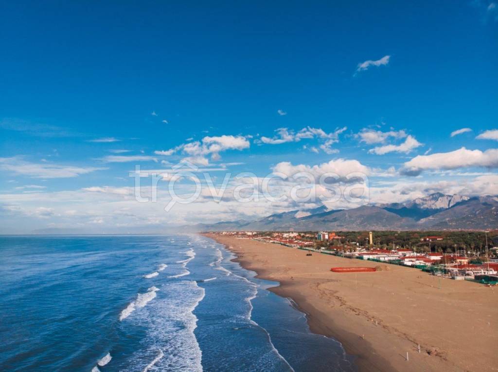 negozio in vendita a Viareggio