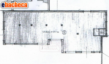 negozio in vendita a Viareggio