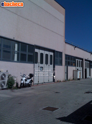 locale di sgombero in vendita a Viareggio