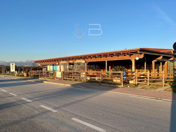 negozio in vendita a Viareggio in zona Torre del Lago