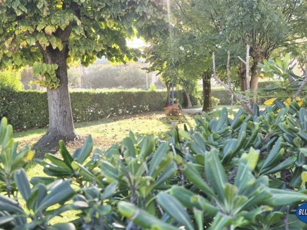 appartamento in vendita a Viareggio in zona Campo d'Aviazione