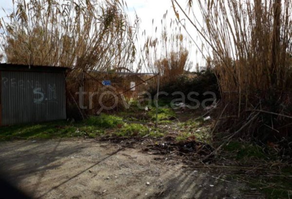terreno agricolo in vendita a Viareggio in zona Torre del Lago