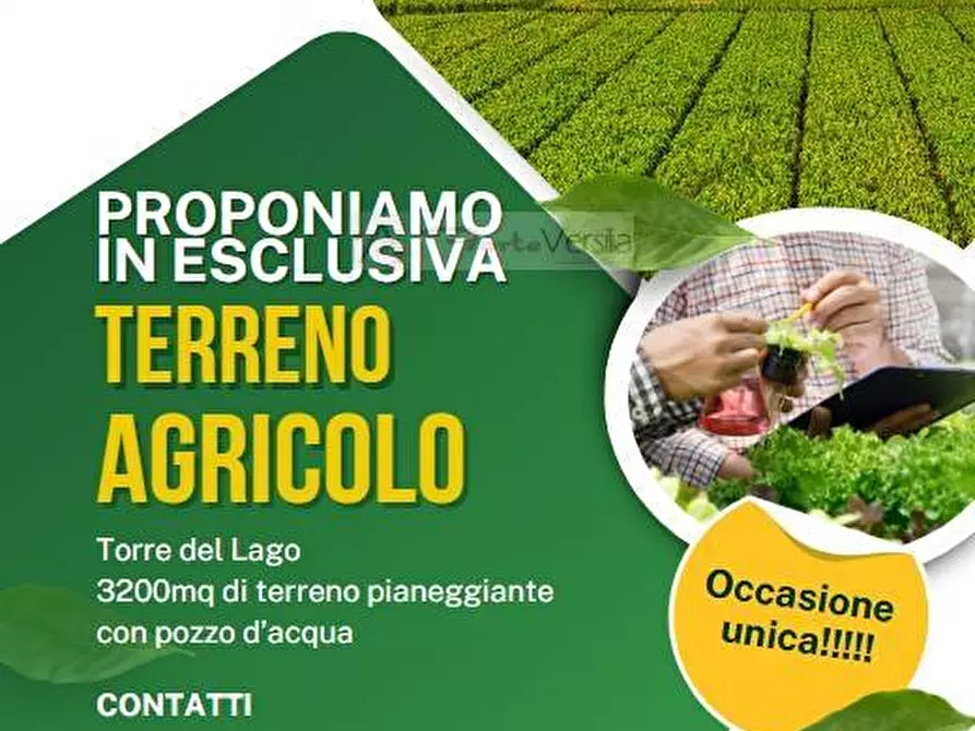 terreno agricolo in vendita a Viareggio in zona Torre del Lago
