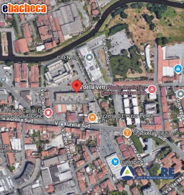 negozio in vendita a Viareggio