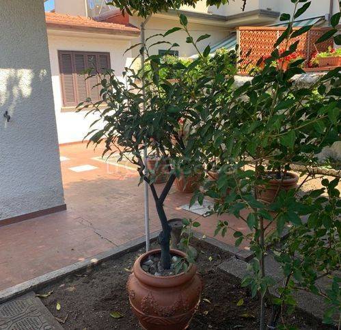 appartamento in vendita a Viareggio in zona Centro Storico