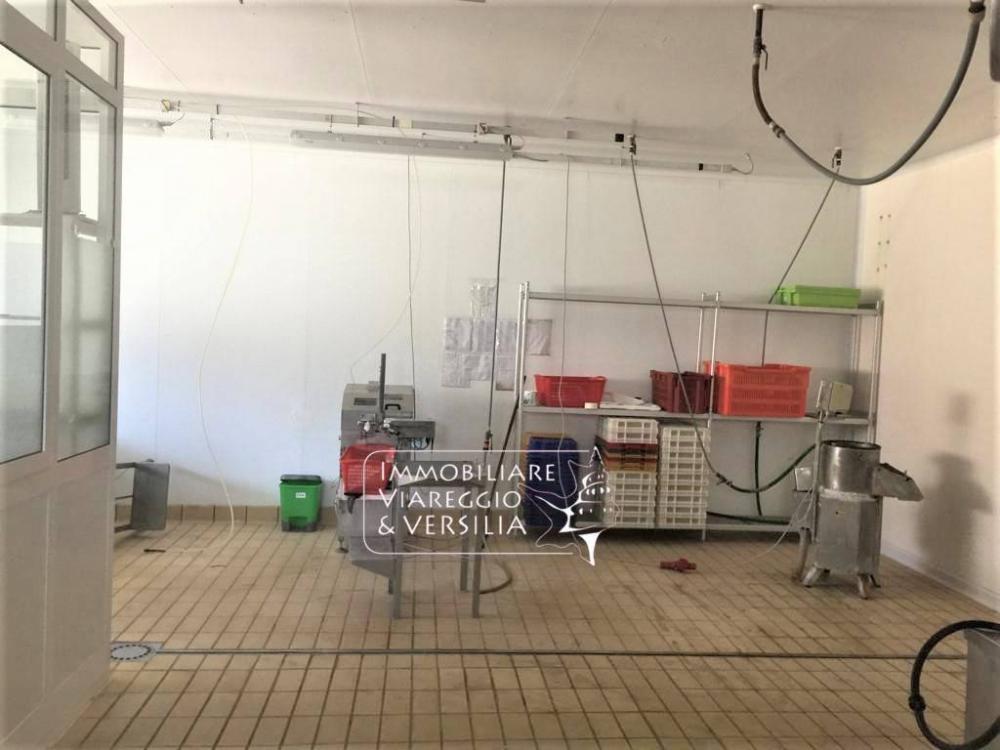 ufficio in vendita a Viareggio