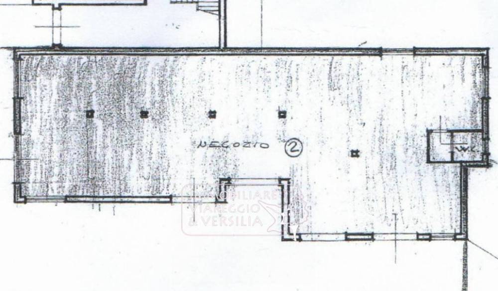 negozio in vendita a Viareggio