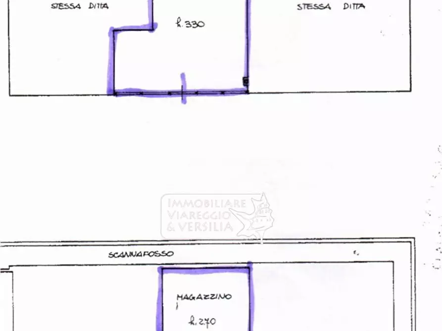 ufficio in vendita a Viareggio
