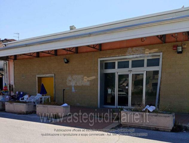 negozio in vendita a Viareggio