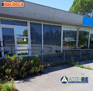 appartamento in vendita a Viareggio