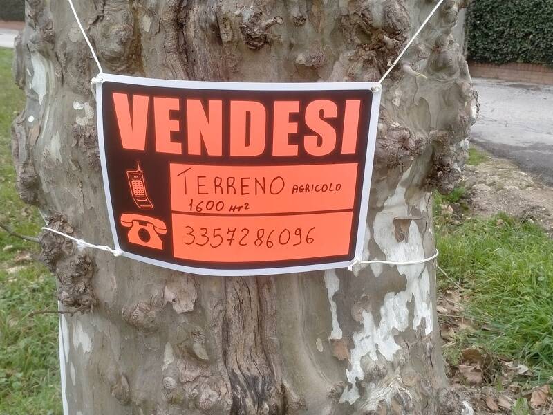 terreno agricolo in vendita a Viareggio