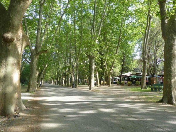 appartamento in vendita a Viareggio in zona Marco Polo