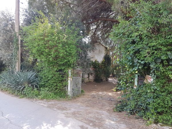 pentavano in vendita a Viareggio