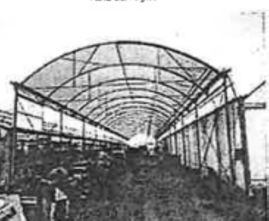 terreno agricolo in vendita a Viareggio in zona Migliarina