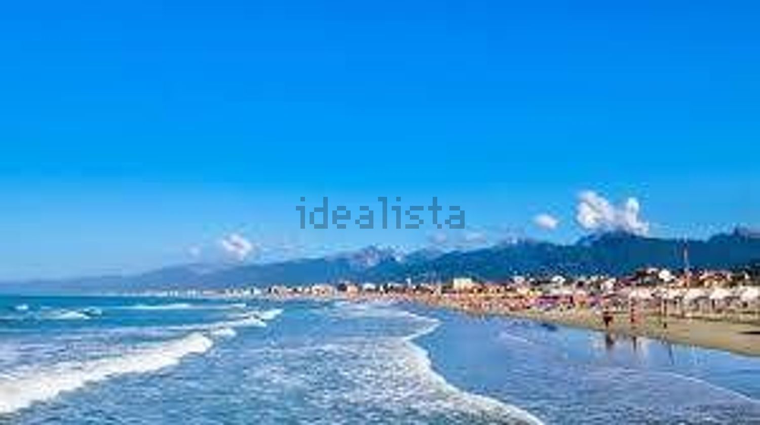 negozio in vendita a Viareggio