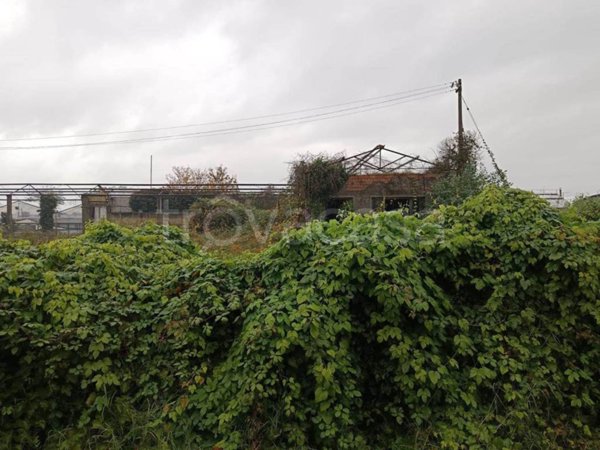 capannone in vendita a Viareggio in zona Torre del Lago