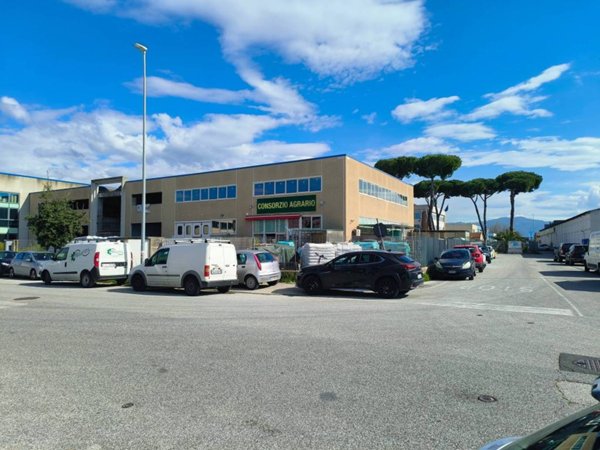 negozio in vendita a Viareggio