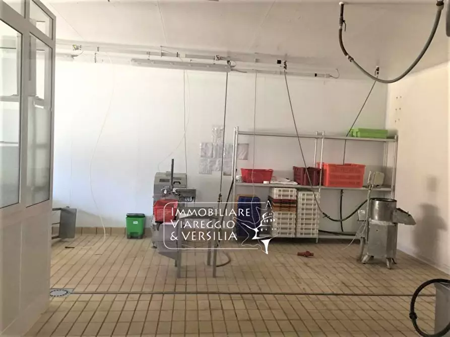 ufficio in vendita a Viareggio