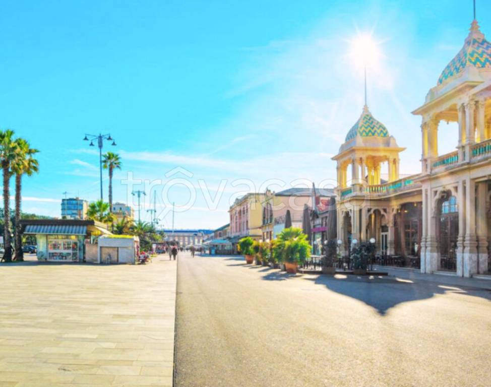 trivano in vendita a Viareggio