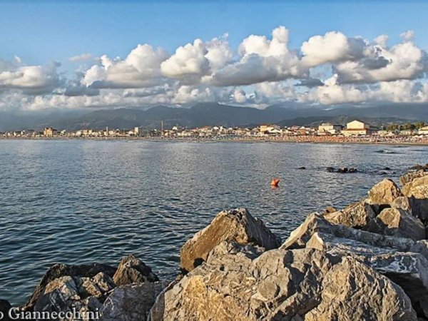 appartamento in vendita a Viareggio in zona Don Bosco