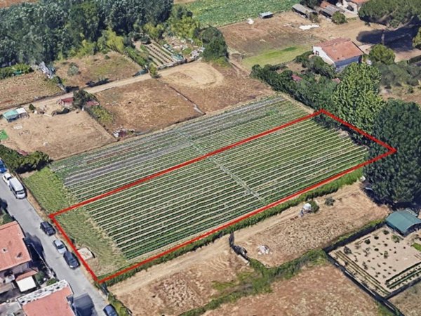 terreno agricolo in vendita a Viareggio in zona Torre del Lago