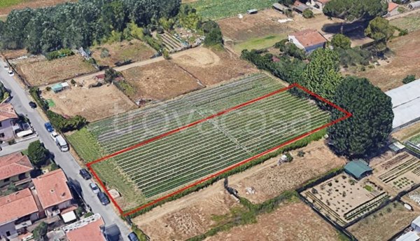 terreno agricolo in vendita a Viareggio in zona Torre del Lago
