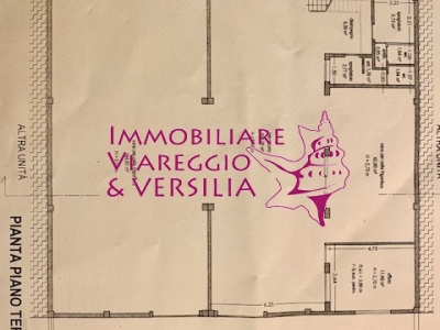 ufficio in vendita a Viareggio