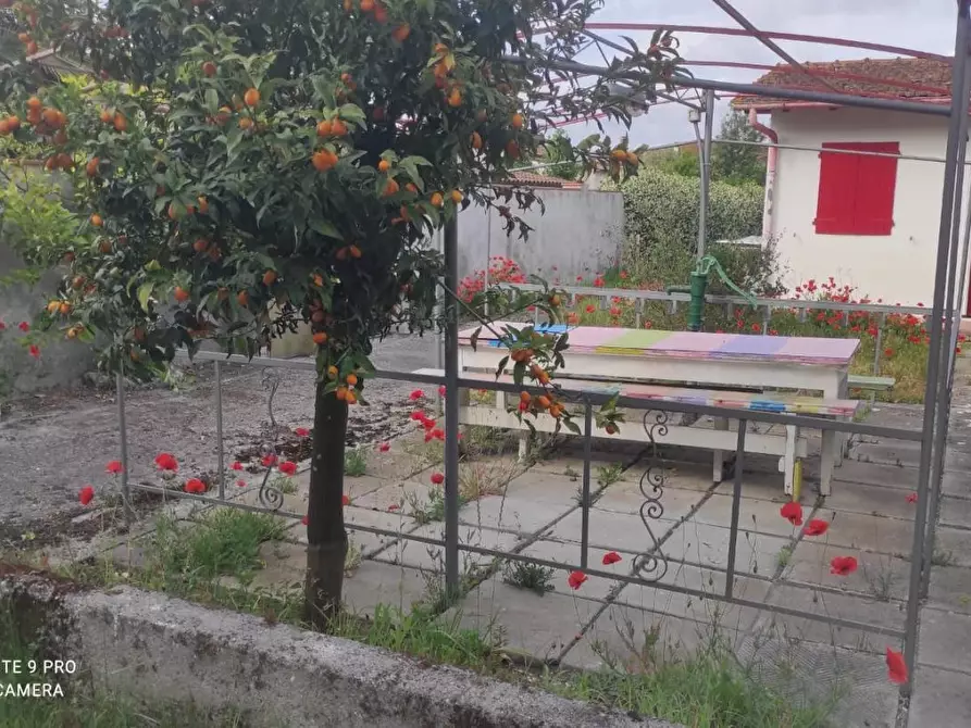 appartamento in vendita a Viareggio in zona Torre del Lago