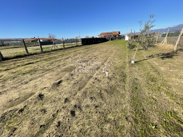 terreno agricolo in vendita a Viareggio