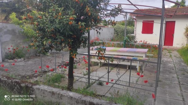 appartamento in vendita a Viareggio in zona Torre del Lago