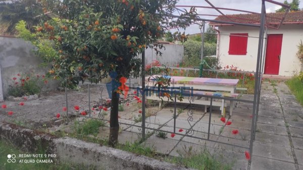 appartamento in vendita a Viareggio in zona Torre del Lago