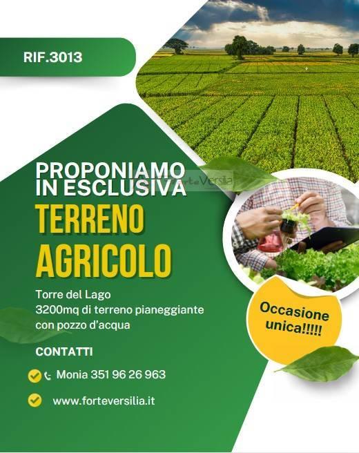 terreno agricolo in vendita a Viareggio in zona Torre del Lago