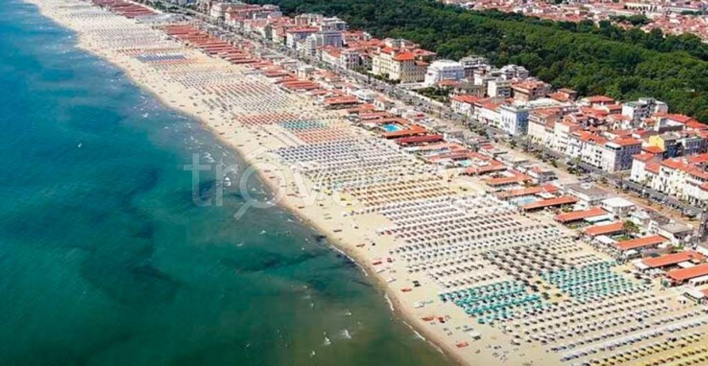 casa indipendente in vendita a Viareggio