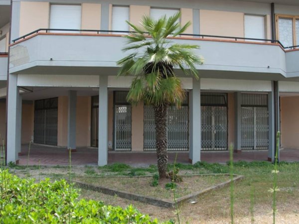 negozio in vendita a Viareggio in zona Campo d'Aviazione