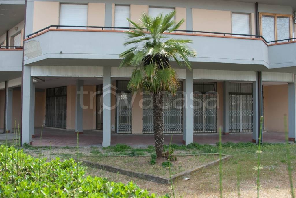 appartamento in vendita a Viareggio in zona Campo d'Aviazione