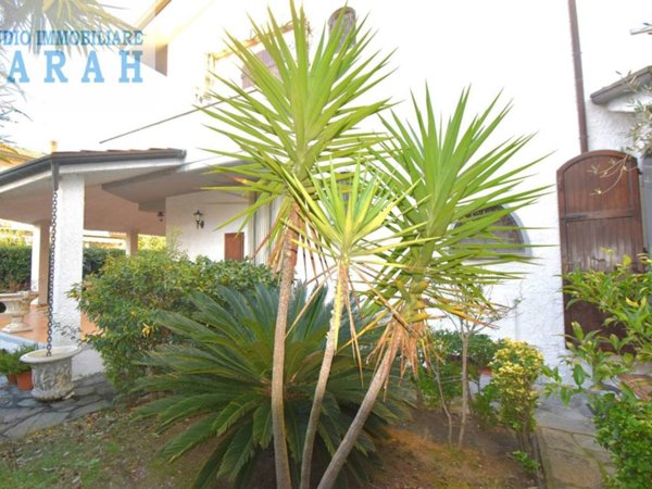 casa indipendente in vendita a Viareggio in zona Torre del Lago