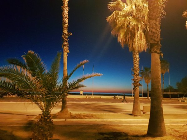 appartamento in vendita a Viareggio