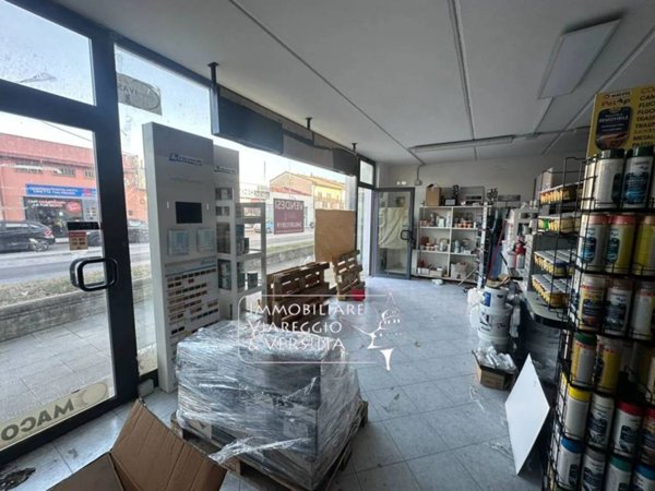 negozio in vendita a Viareggio in zona Migliarina
