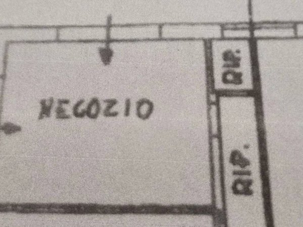 negozio in vendita a Viareggio in zona Marco Polo