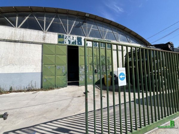 capannone in vendita a Viareggio