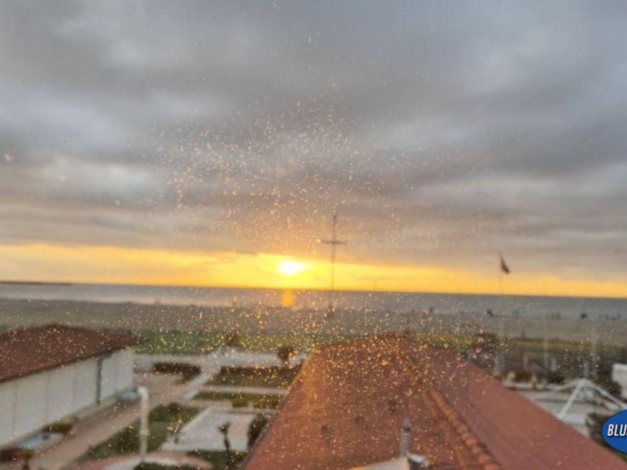 appartamento in vendita a Viareggio