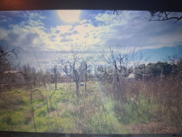 terreno agricolo in vendita a Viareggio in zona Torre del Lago