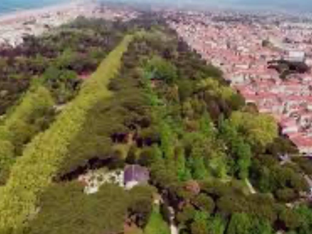 appartamento in vendita a Viareggio