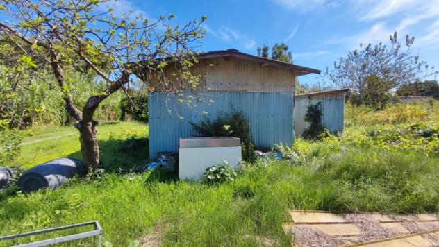 terreno agricolo in vendita a Viareggio