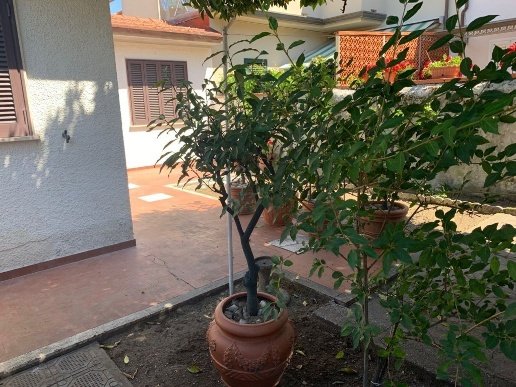 appartamento in vendita a Viareggio in zona Centro Storico