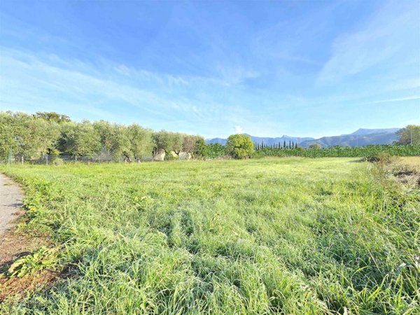 terreno agricolo in vendita a Viareggio