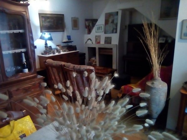 casa indipendente in vendita a Viareggio in zona Centro Storico