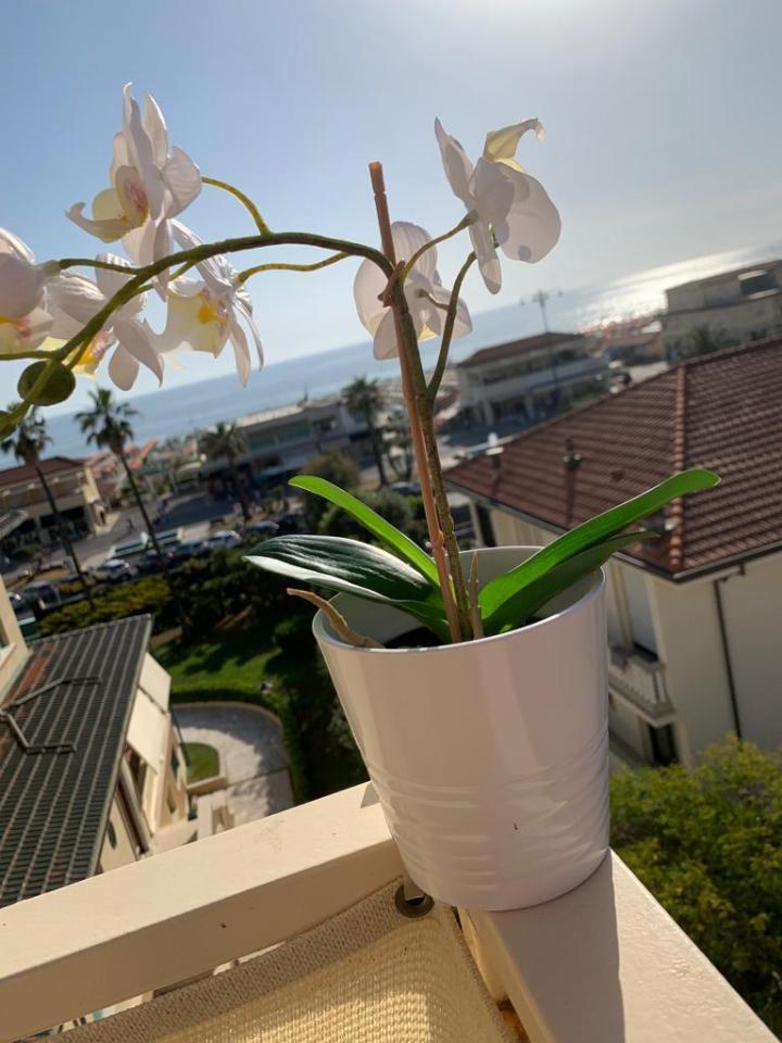 appartamento in vendita a Viareggio