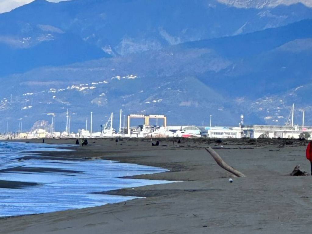appartamento in vendita a Viareggio in zona Centro Storico