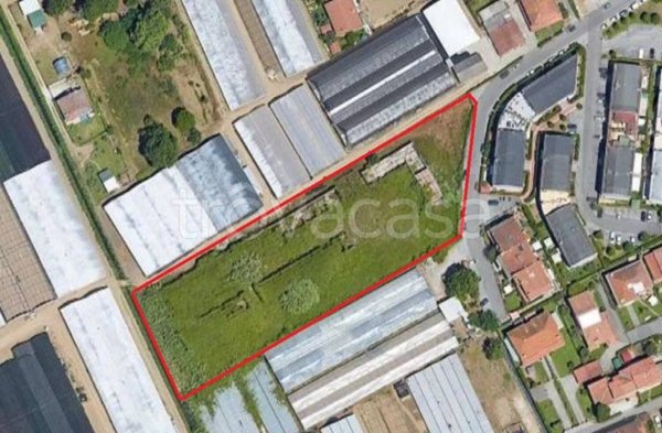 capannone in vendita a Viareggio